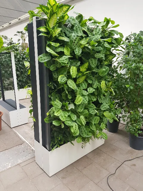 Begrünte Pflanzenwand im Büro