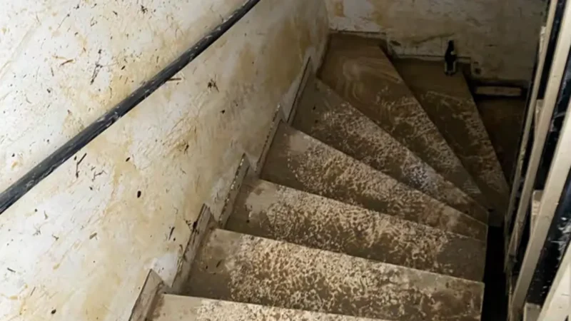 Starkregen, Rückstau, Erdbeben: Warum jedes Haus den Baustein Elementar braucht